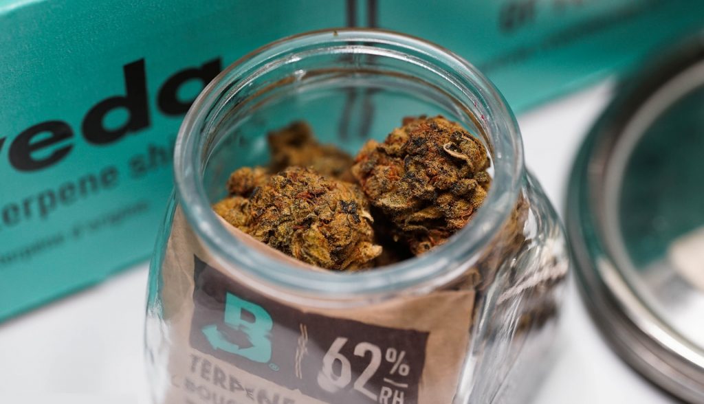 CBD Gras/Blüten in eine Glas mit BOVEDA Luftfeuchtigkeitsregulierer