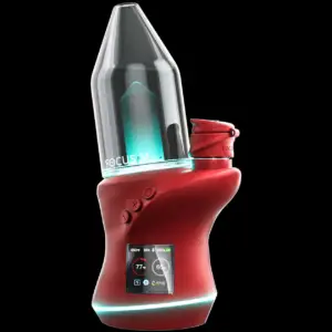 focus v carta 2 e rig + saber dab tool bundle bordeaux (limited edition)