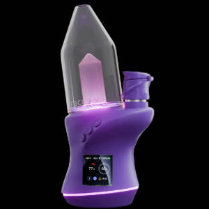 focus v carta 2 color grape e rig kit & saber grape & intelli core® for herb (starter bundle)