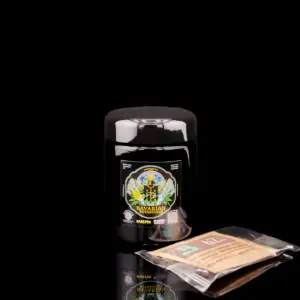 bavarian botanicals x miron weithalsdose aus violettglas (bis 60 g) inkl. 2 x boveda s8 62%